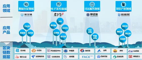 易保全入选2021年度重庆市重点软件企业名单，深耕创新型应用软件服务